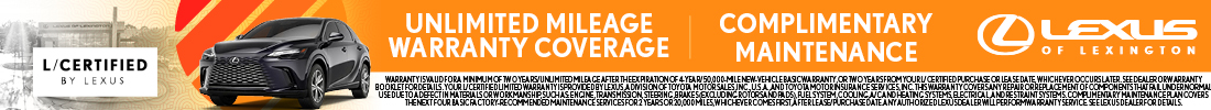 banner-image