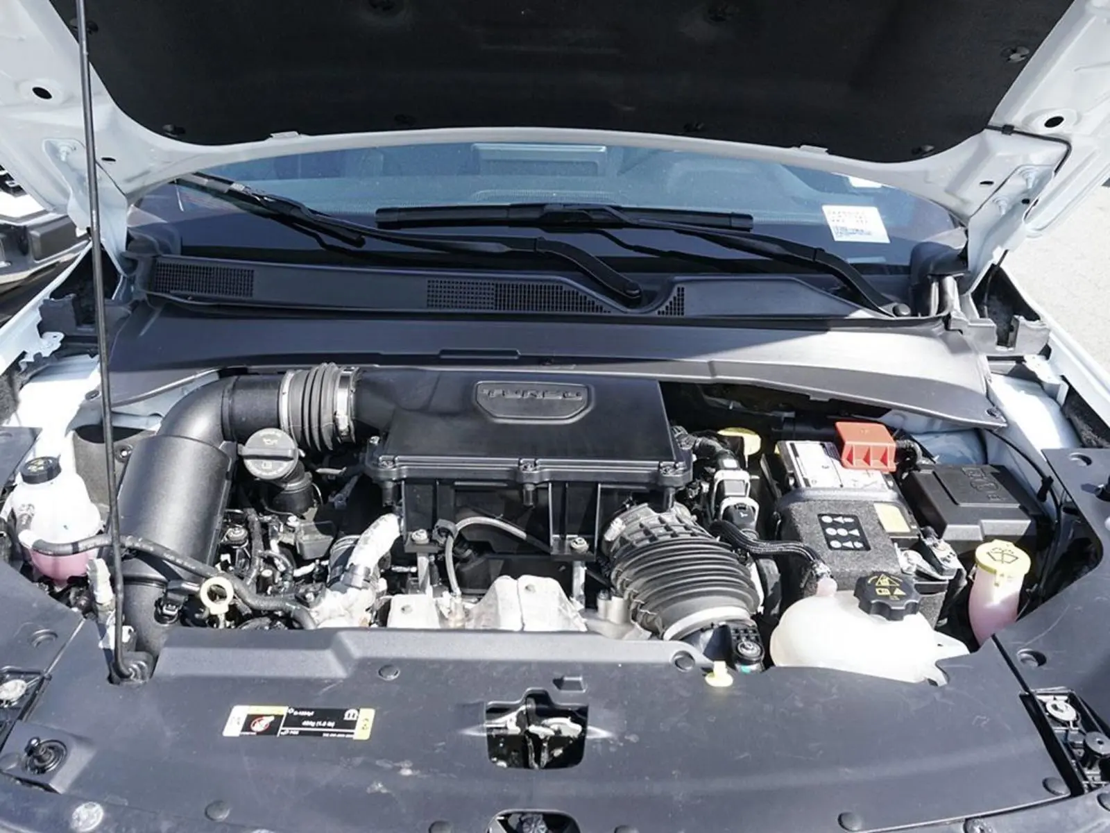 image-7