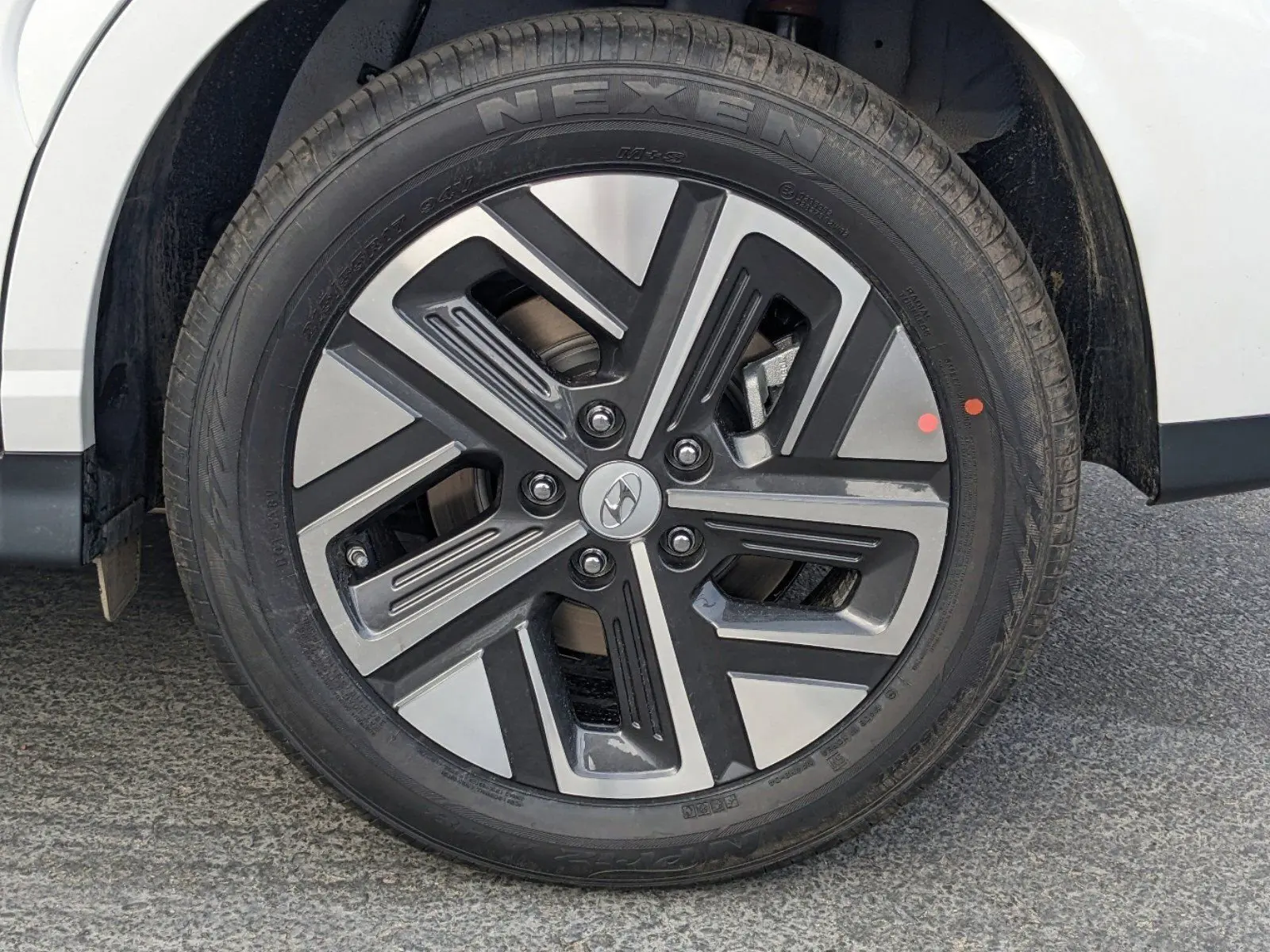 image-8
