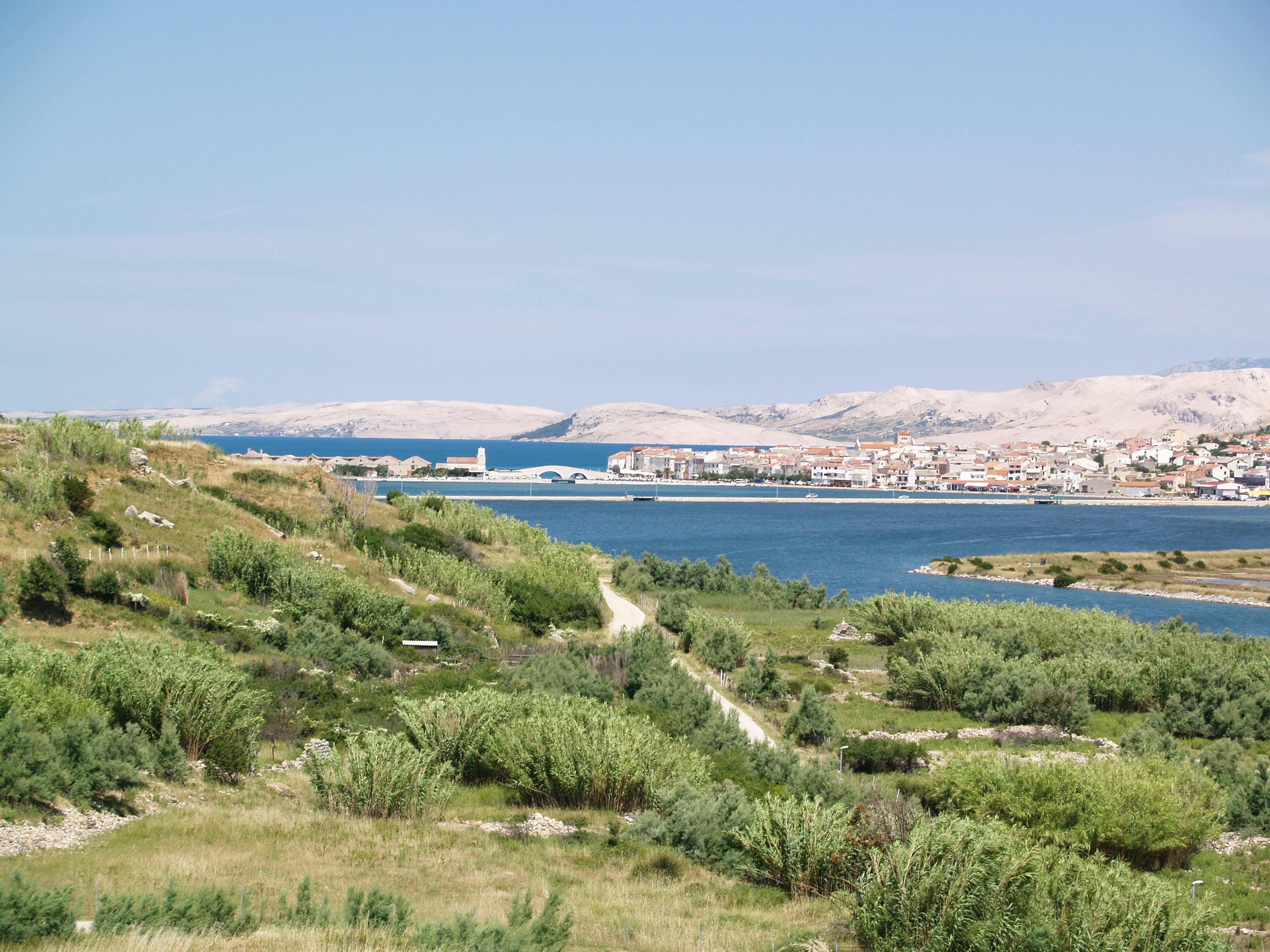 Technician inspecting a certified pre-owned vehicle