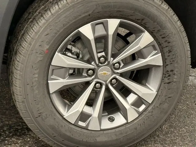image-11