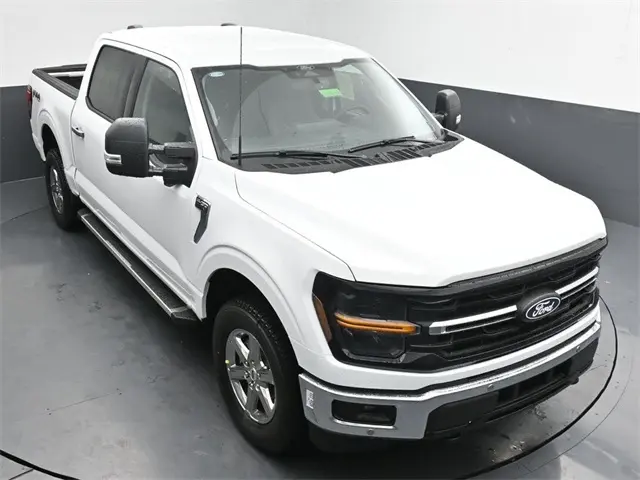 image-19