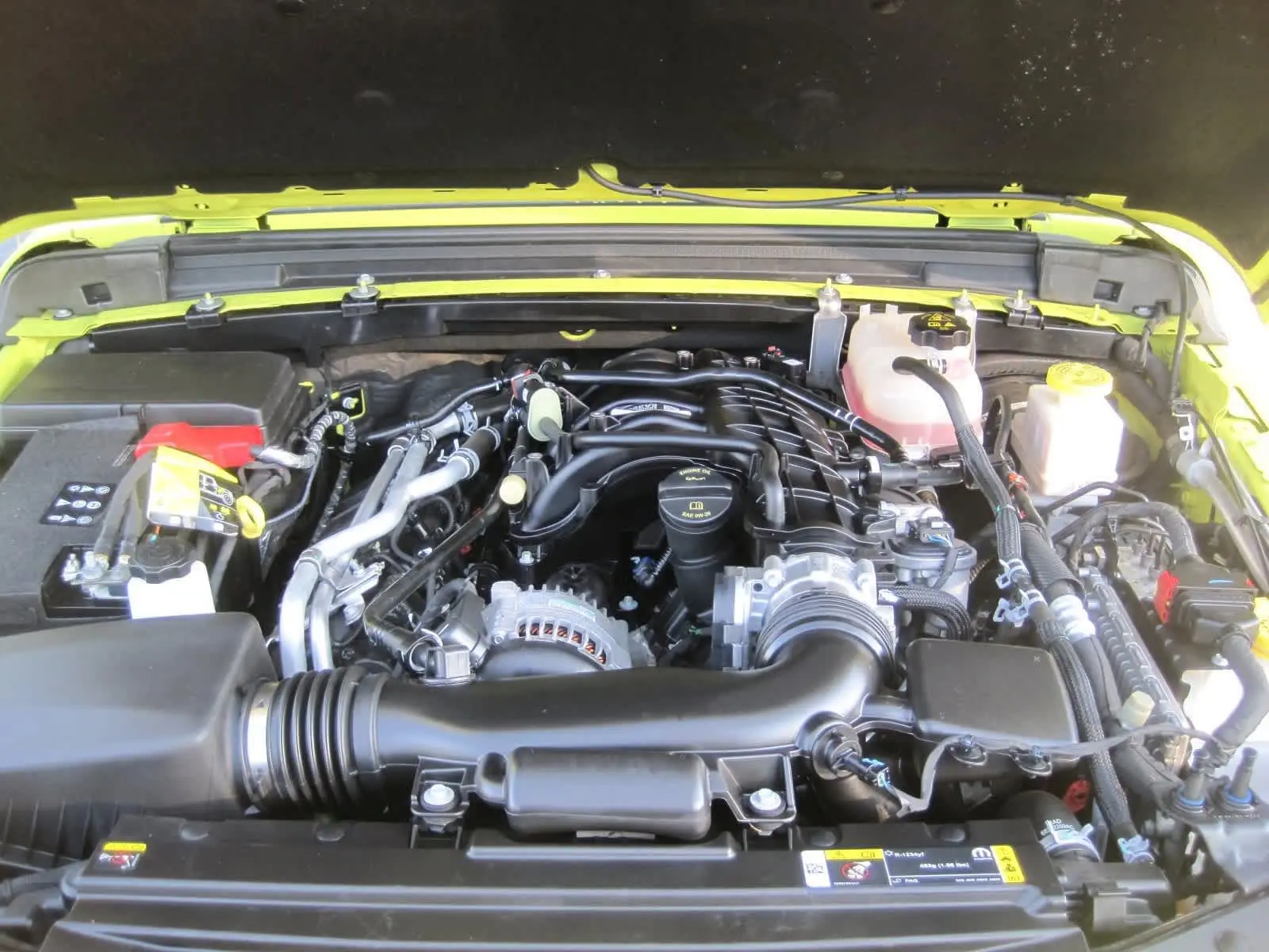 image-6