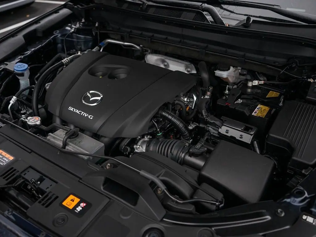 image-5