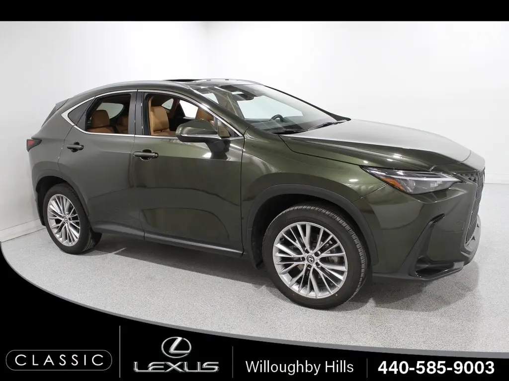 2025 Lexus NX 350's photo