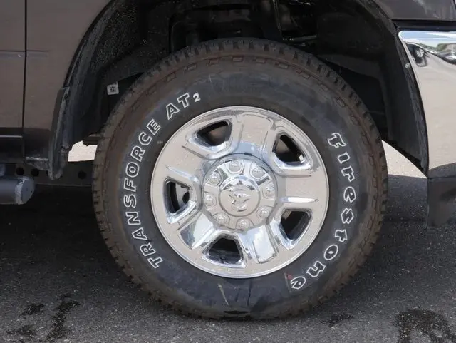 image-11