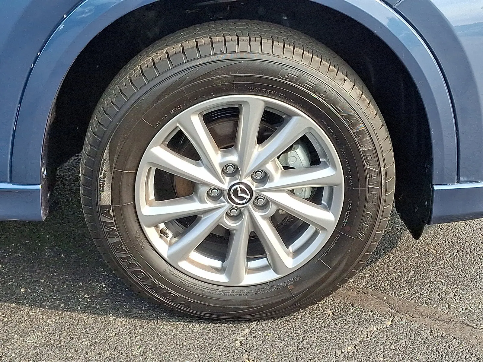image-7