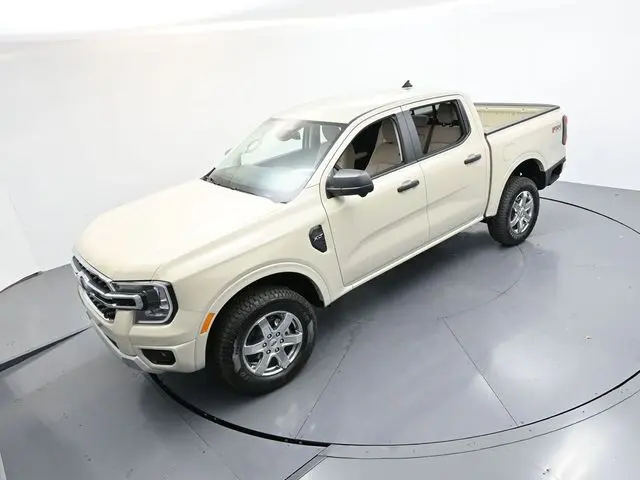 image-19
