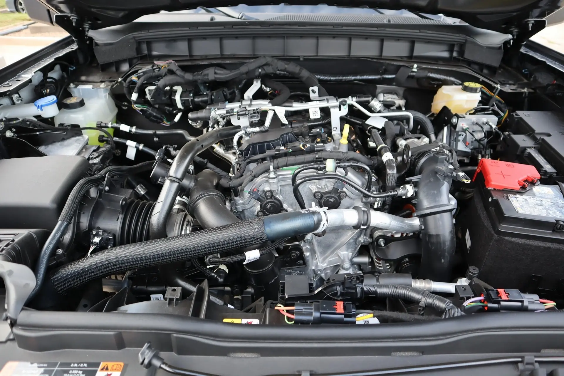 image-19