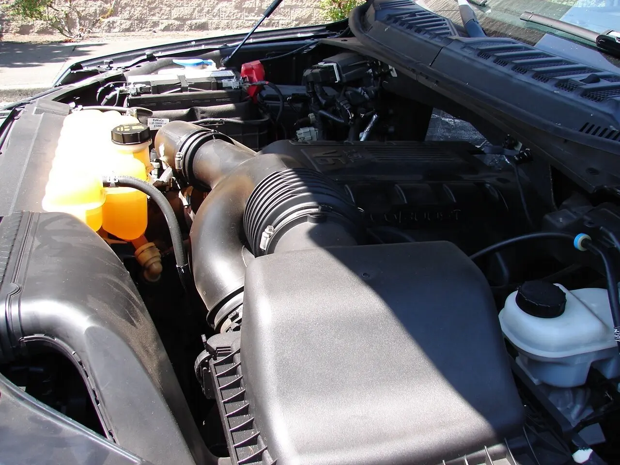 image-4