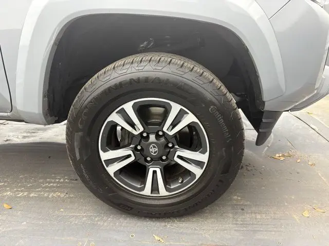 image-11