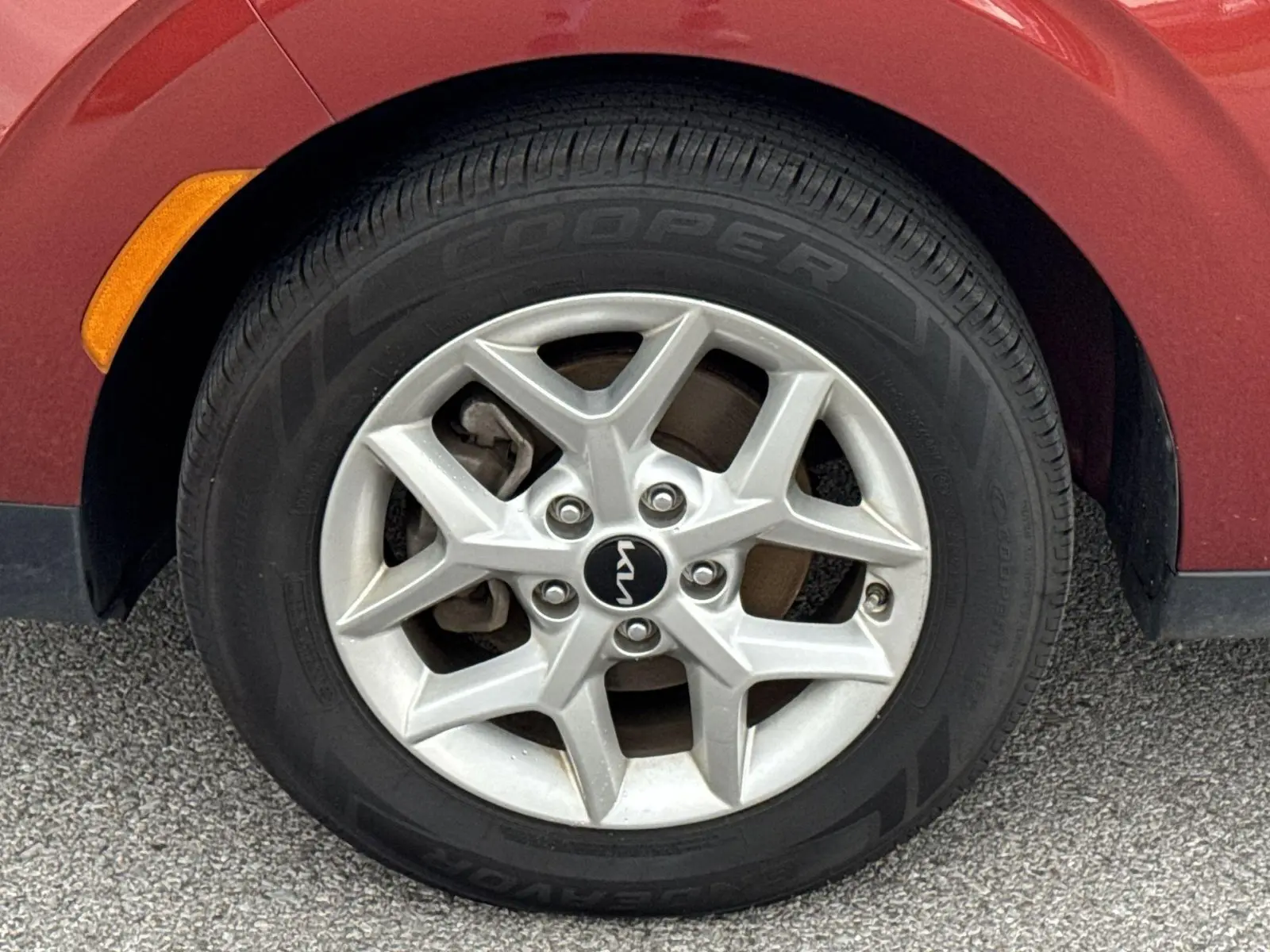 image-19