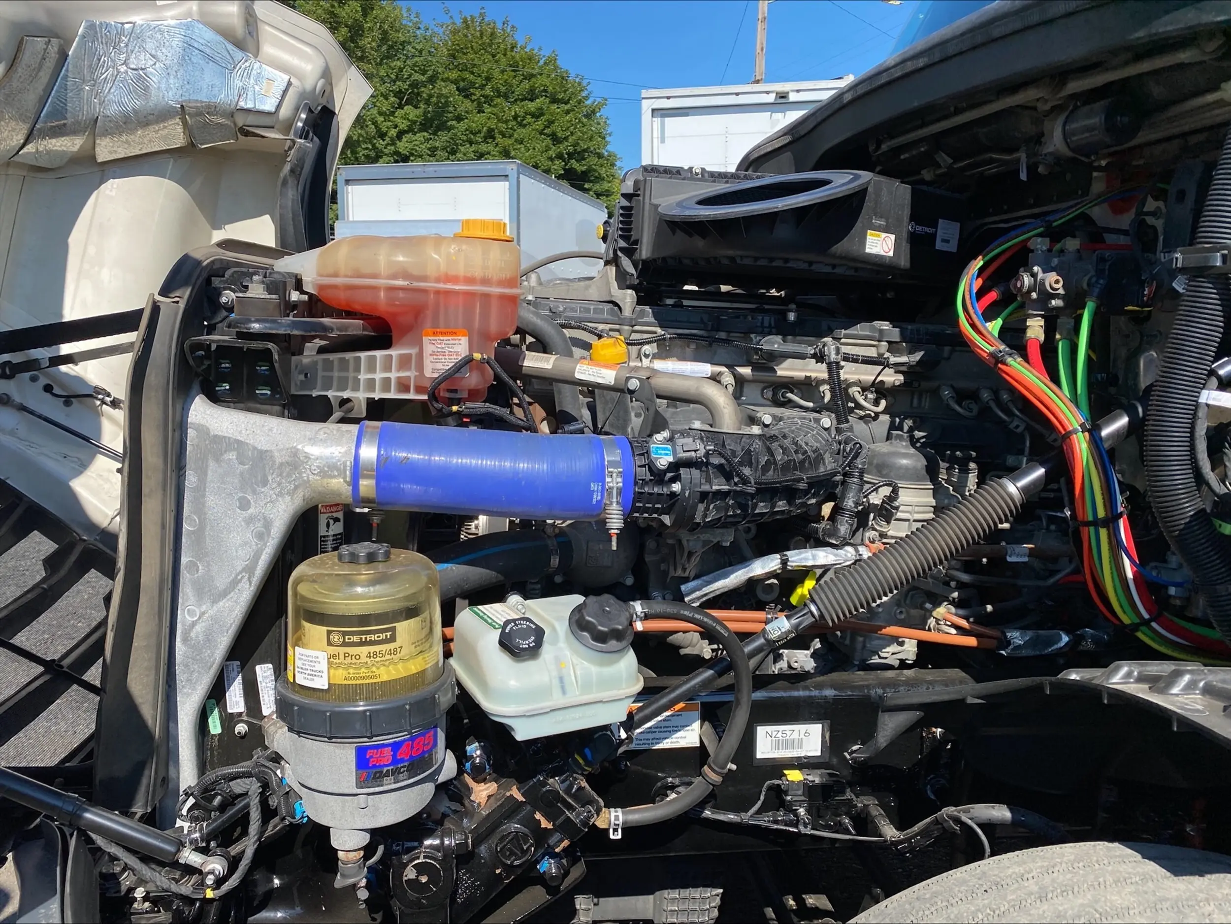 image-8