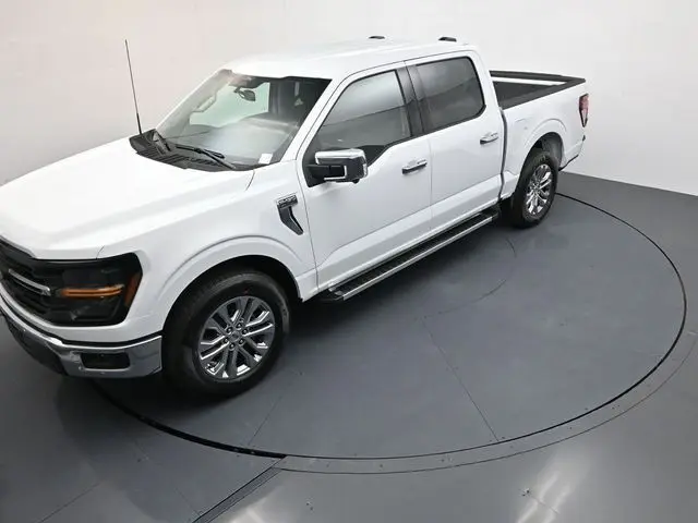 image-19
