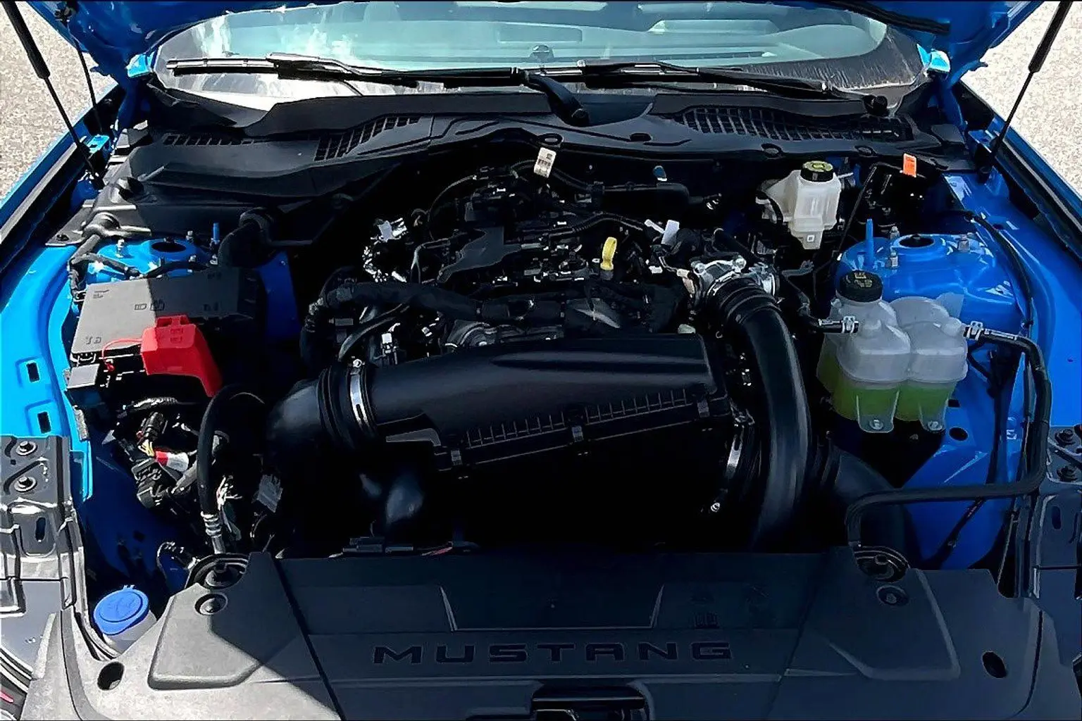 image-9