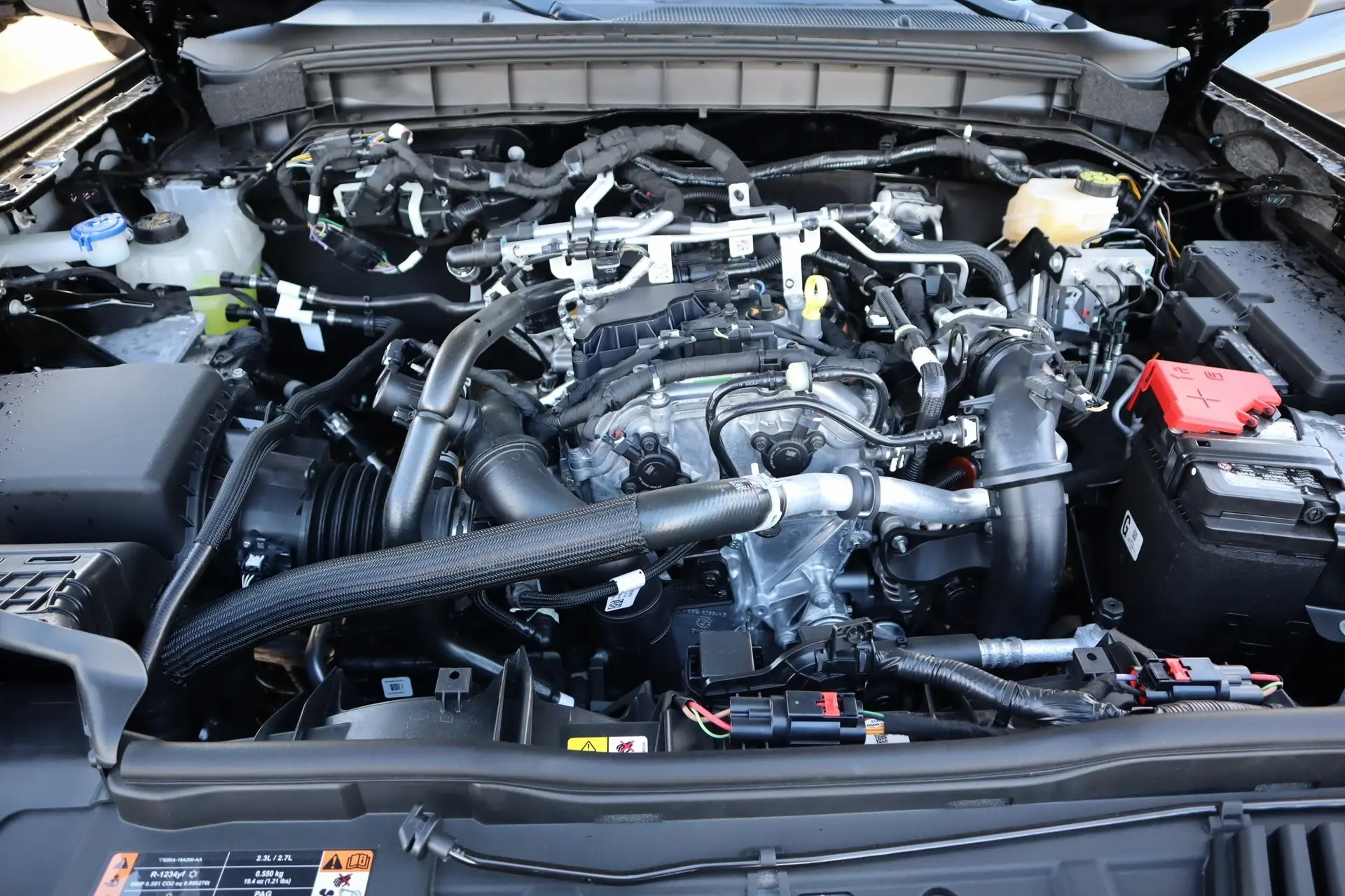 image-19