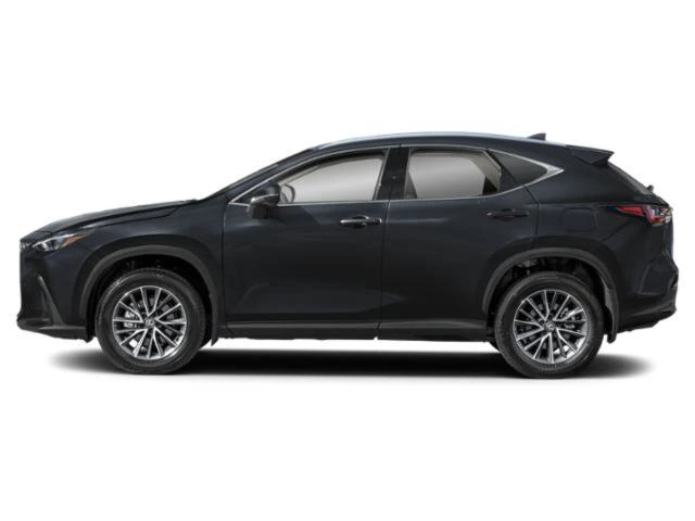 2024 Lexus NX 350 350 AWD's photo