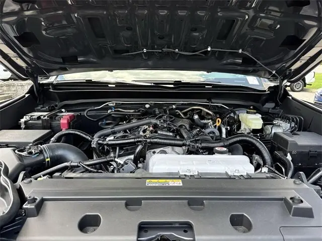 image-19