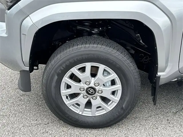 image-19