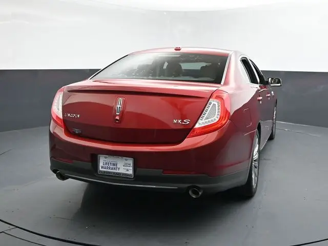 image-7