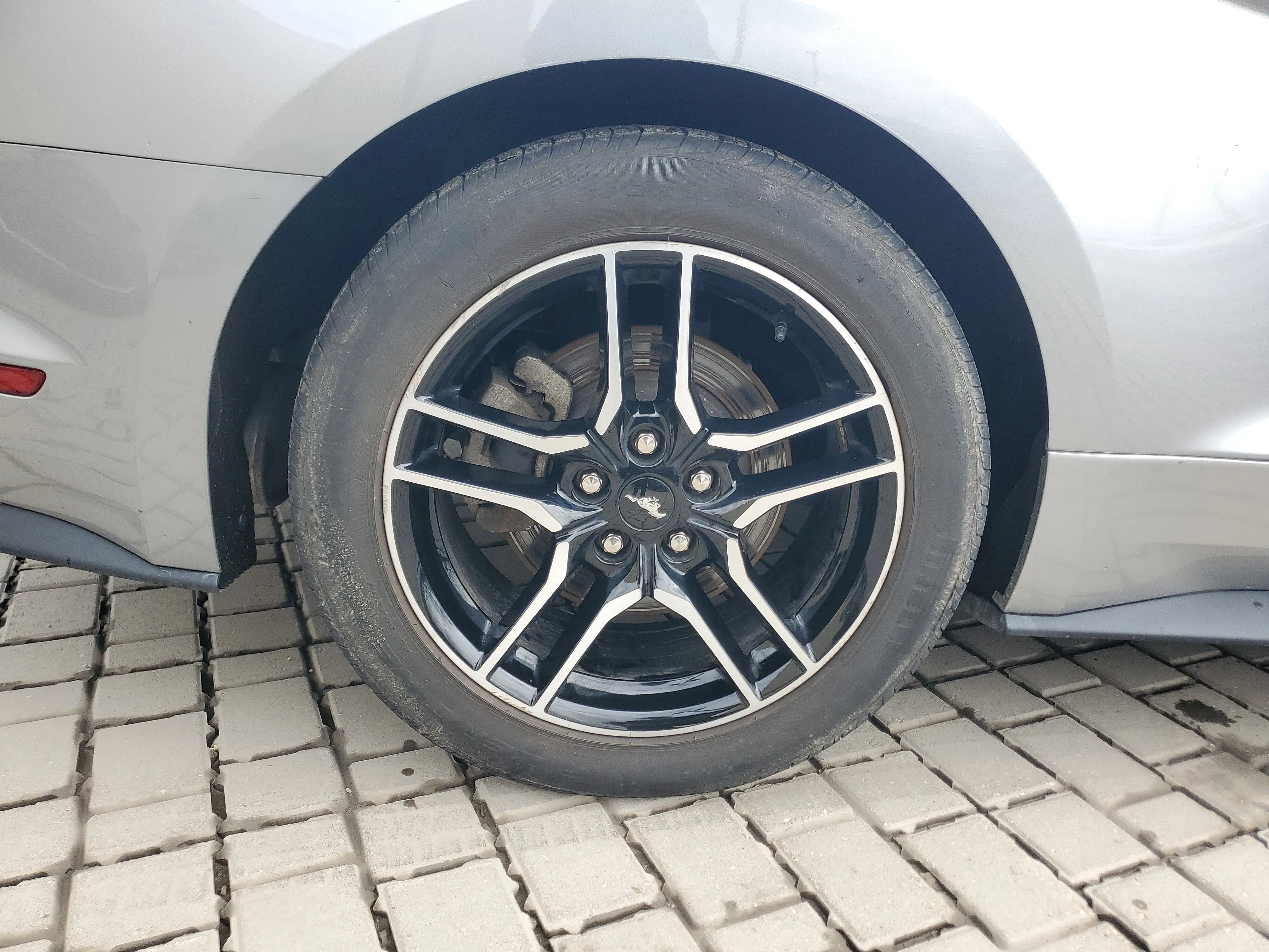 image-7