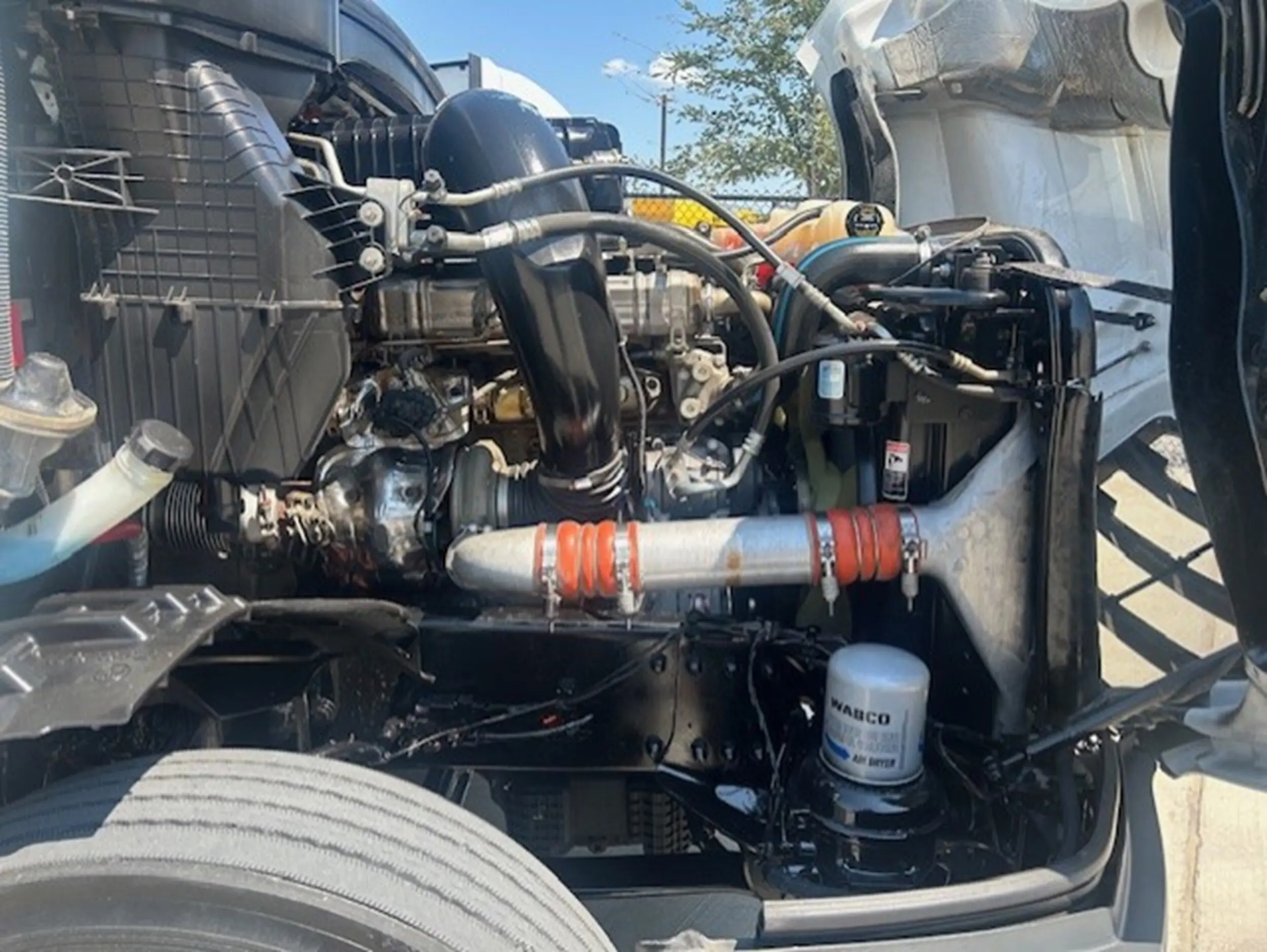 image-12