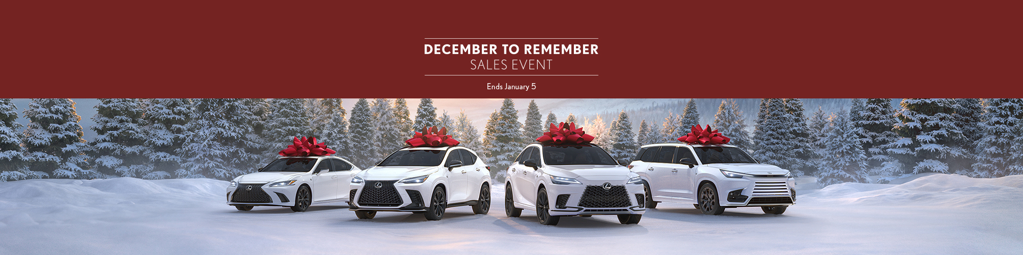 LEXUS DECEMBER TO REMEMBER