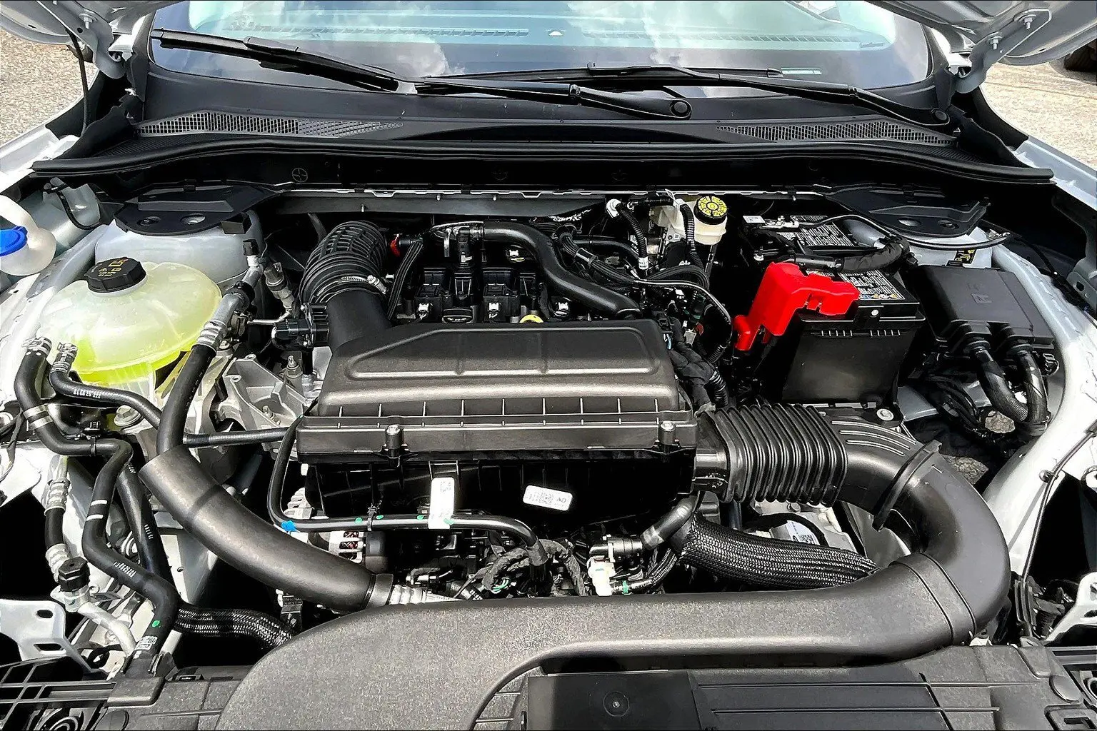 image-10