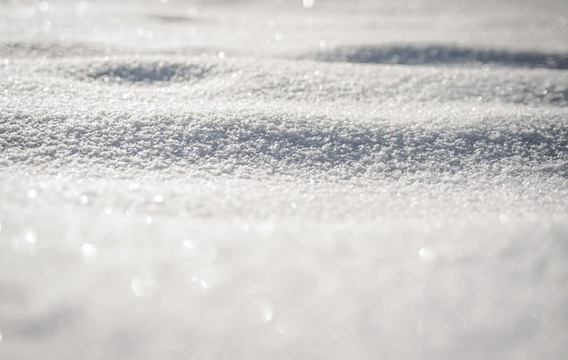 snow on ground