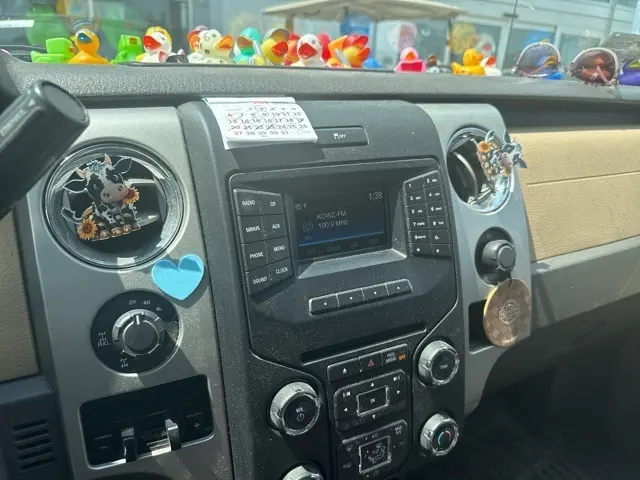 image-9