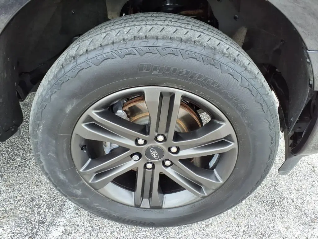 image-8