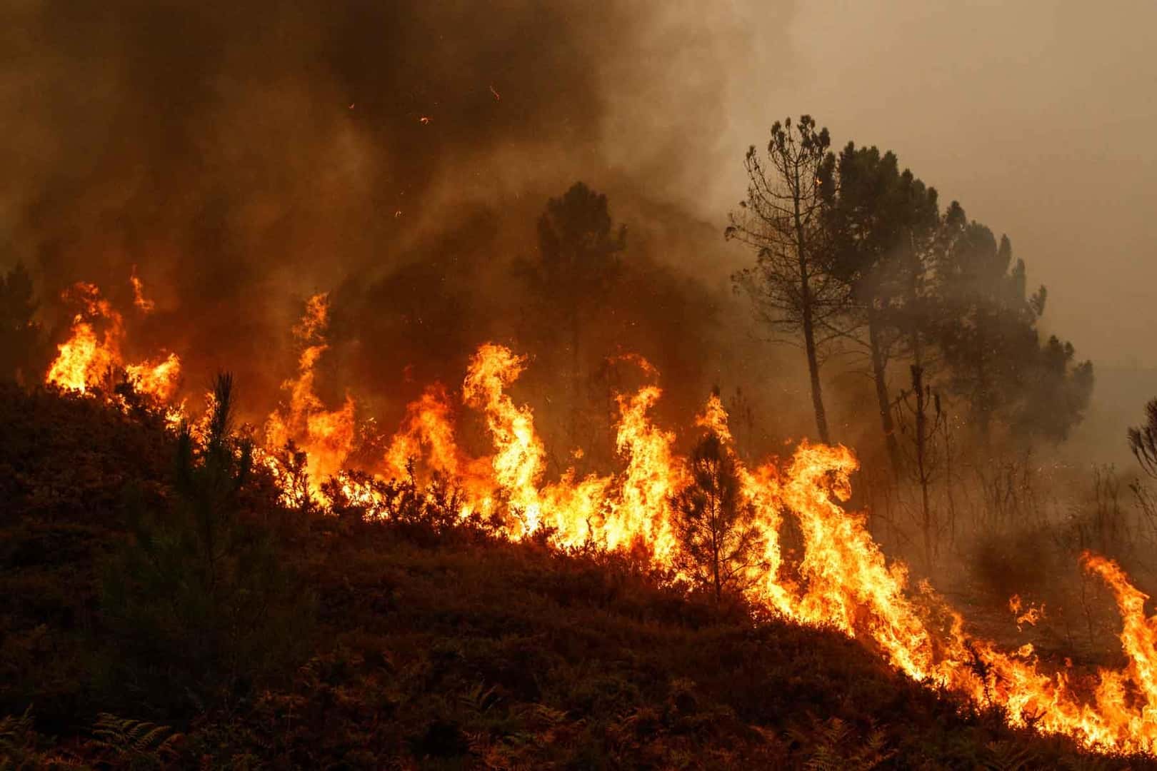 natural disasters wildfire and F-150 clean-up
