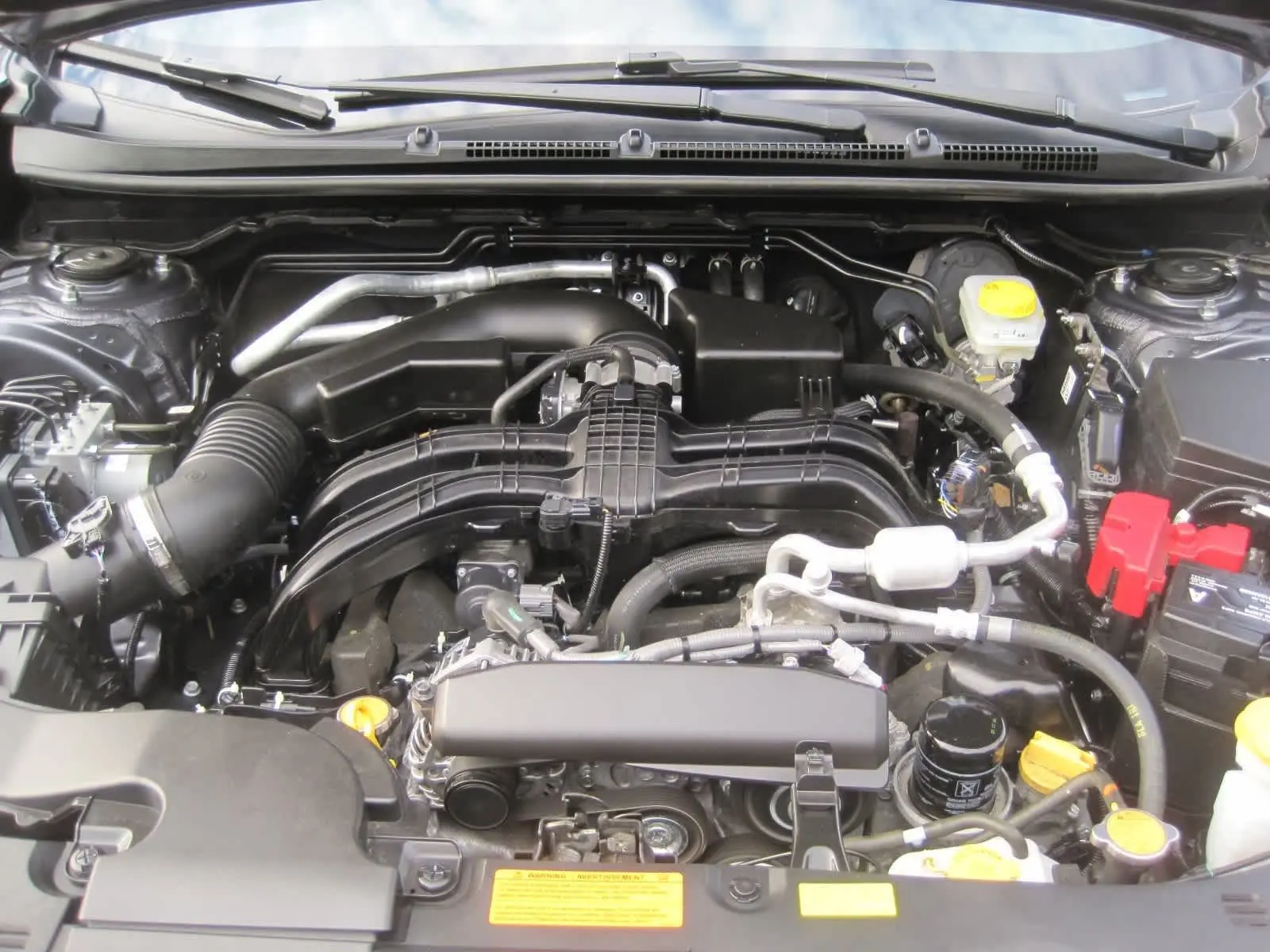 image-6