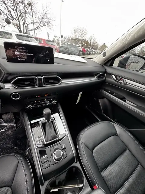 image-11