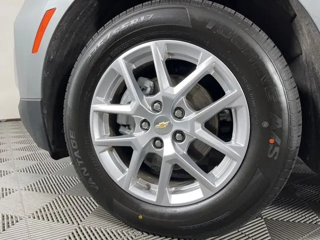 image-11