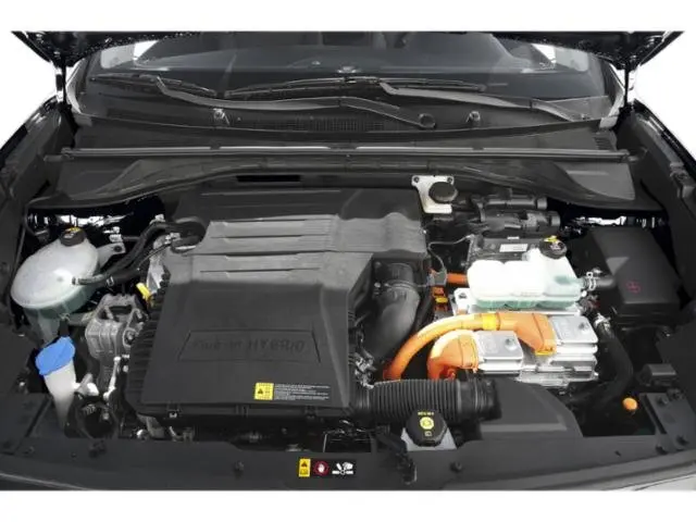 image-15