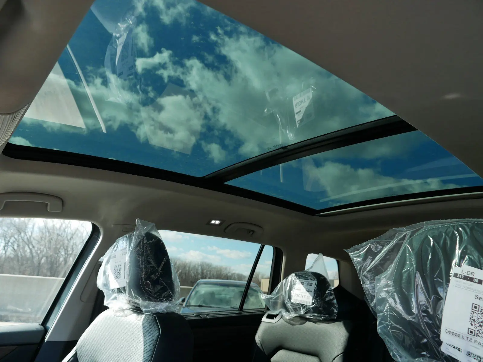image-7