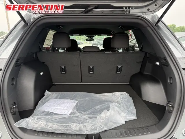 image-19