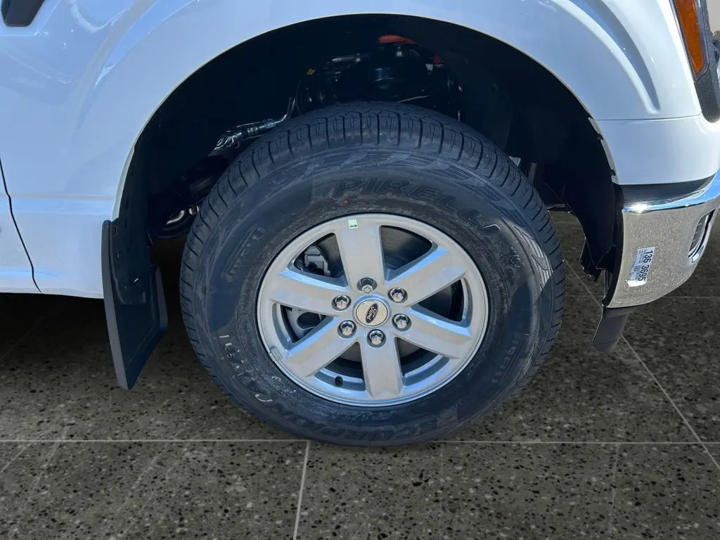 image-8