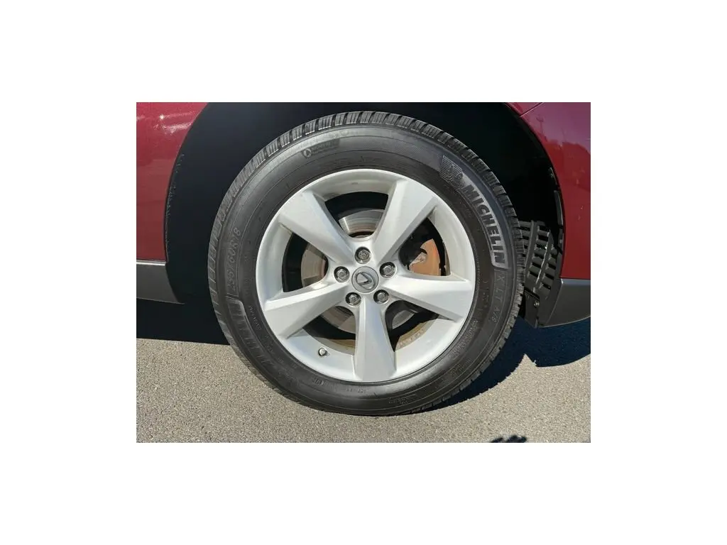 image-11