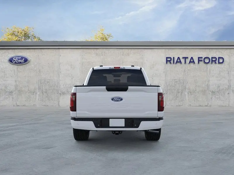 image-4