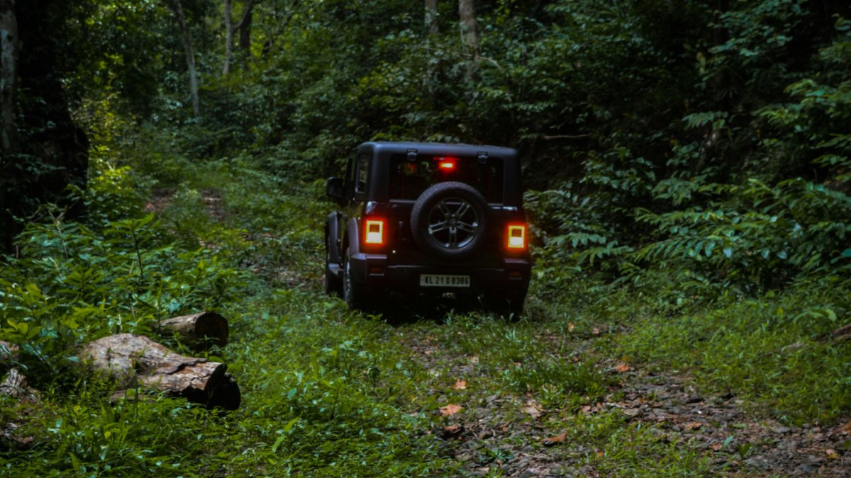 One Jeep in the Woods