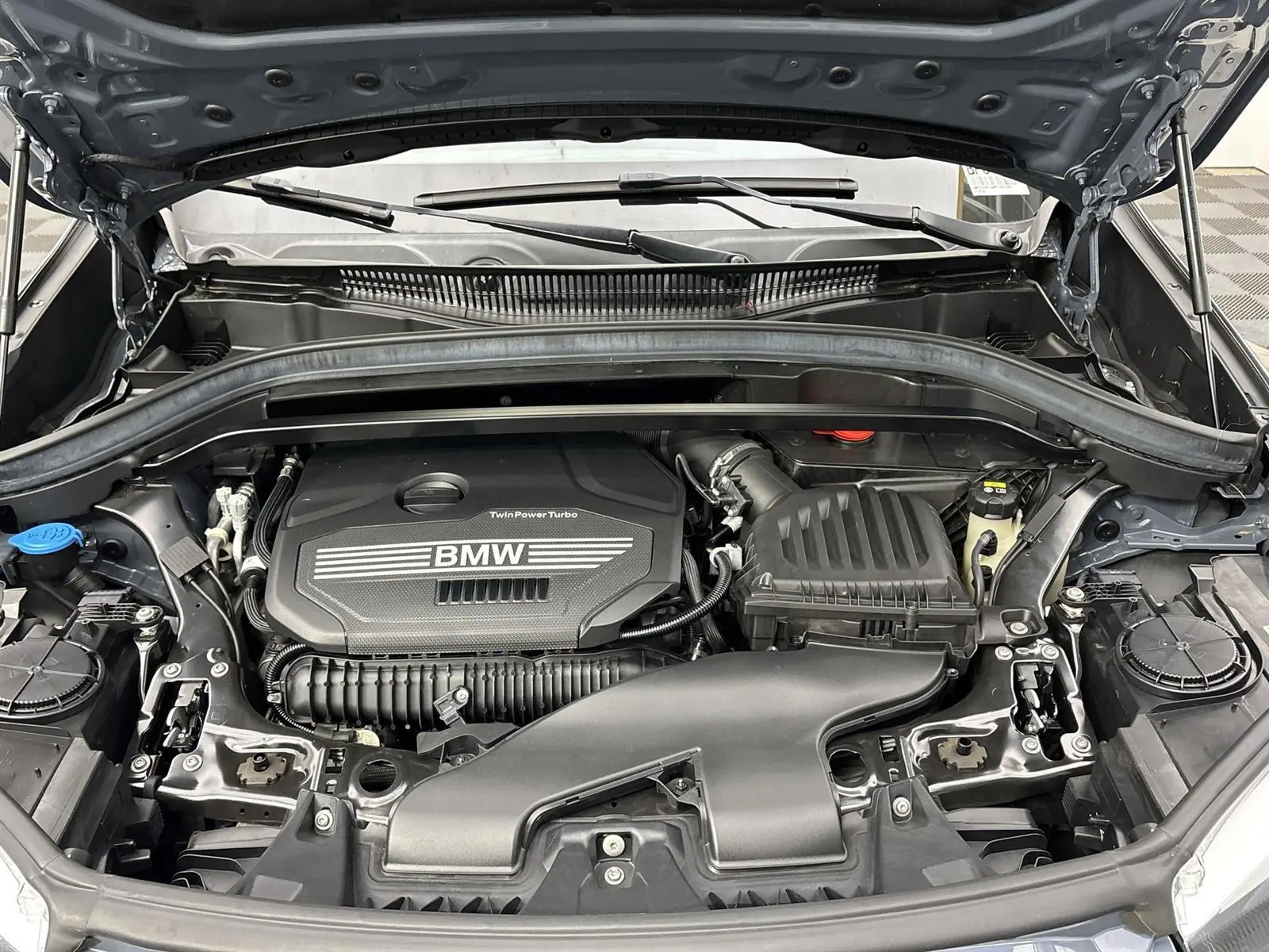 image-19