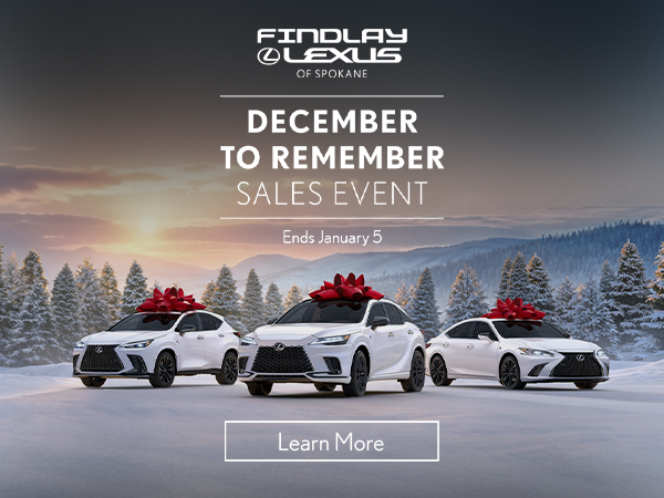 LEXUS DECEMBER TO REMEMBER