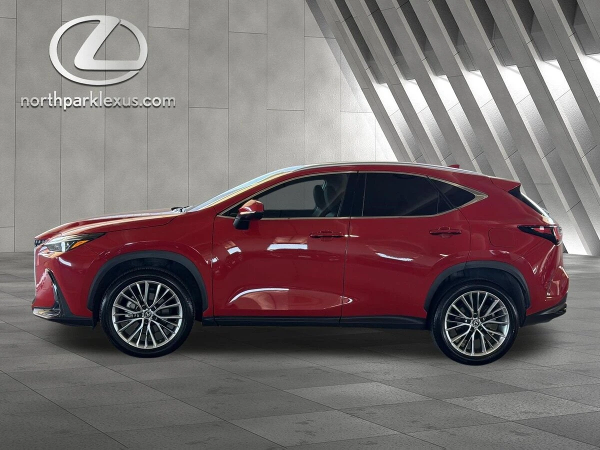 2025 Lexus NX