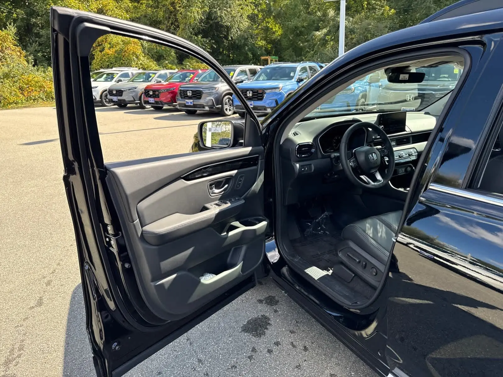 image-11