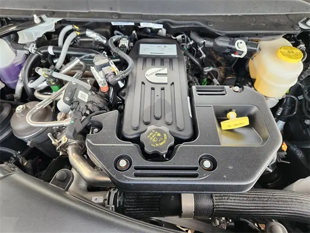 image-19