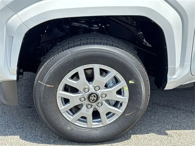 image-19