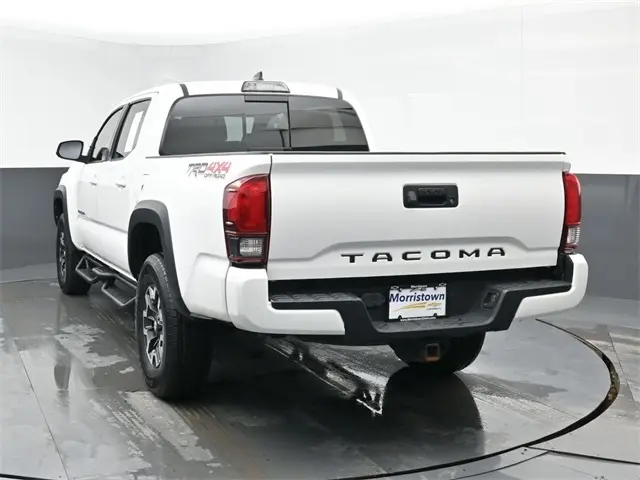 image-11