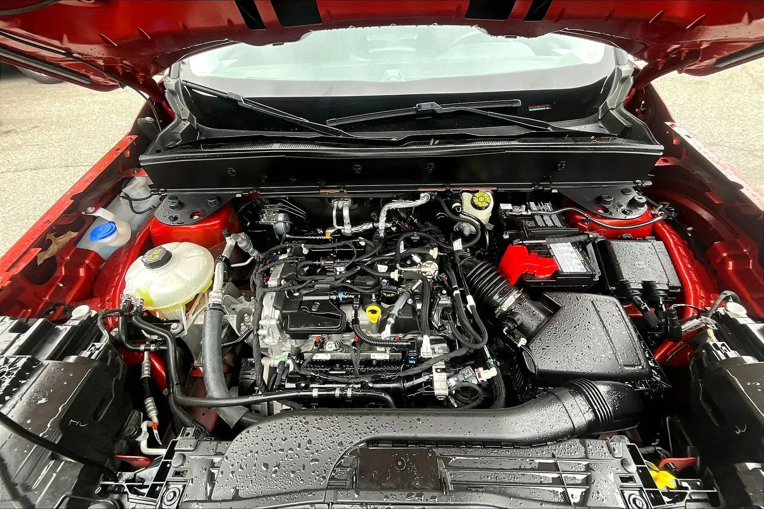 image-8